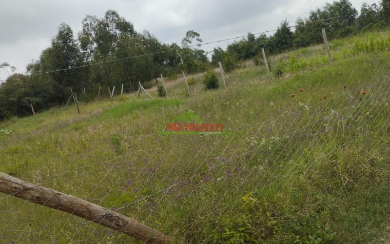 Luxurious 50 By 100 Residential Plots For Sale In Lusigetti Kikuyu.