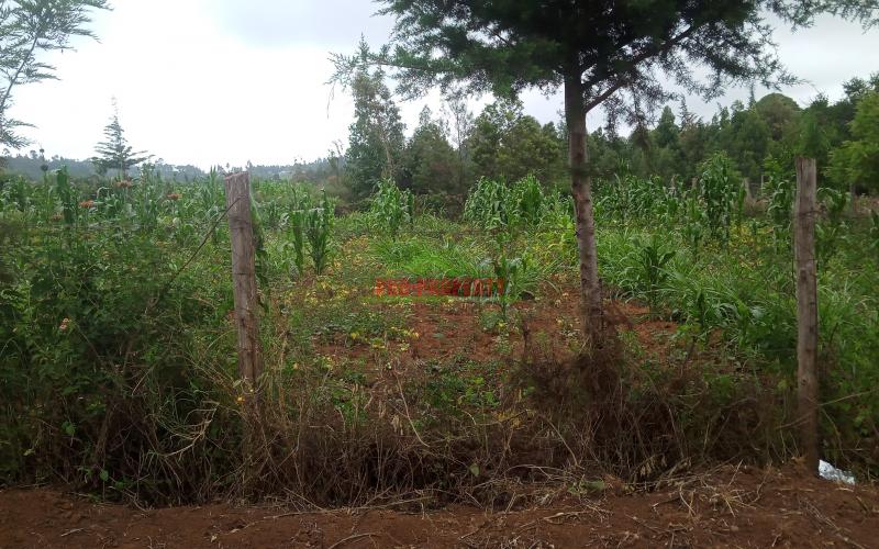 Prime 100 by 100 plot in Kikuyu,Kamangu