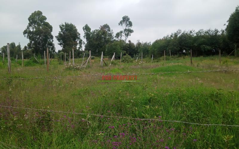 Prime 50 by 100 plots for sale  in Kikuyu , Lusingeti