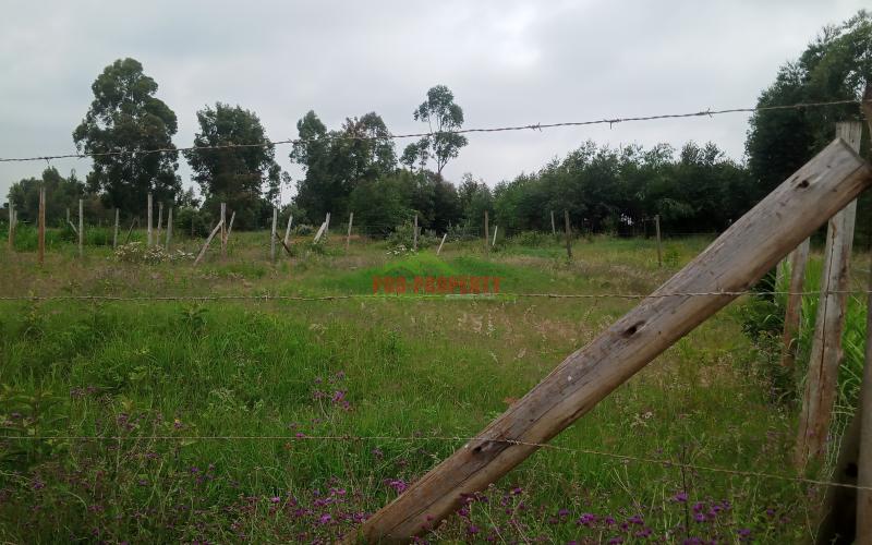 Prime 50 By 100 Plots For Sale  In Kikuyu , Lusingeti