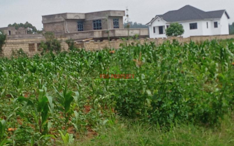 Prime 50 By 100 Plots For Sale  In Kikuyu , Lusingeti