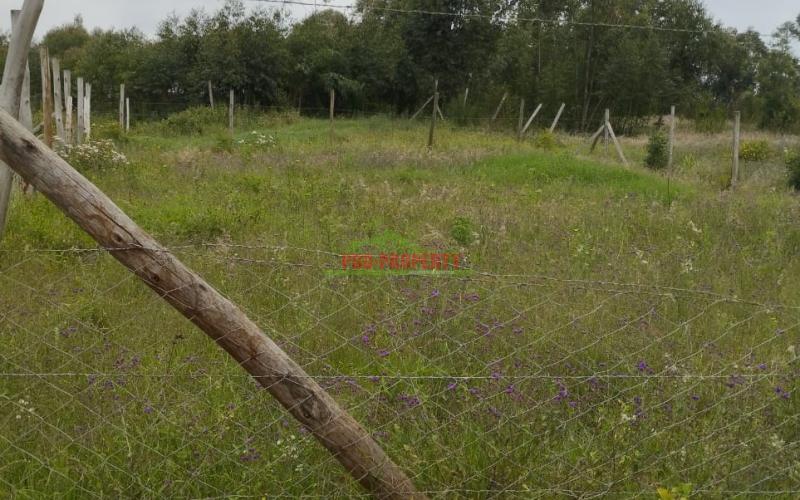 Prime 50 By 100ft For Sale!!! In Lusingetti, Kikuyu