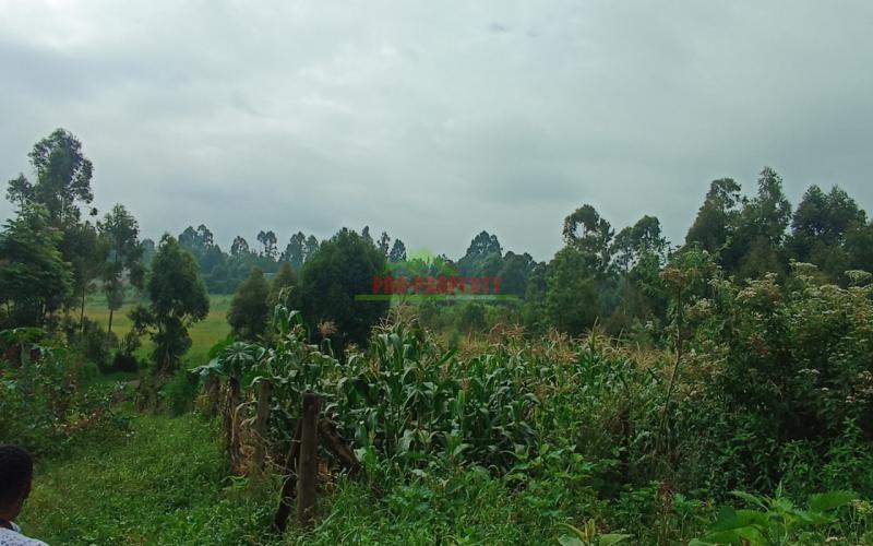 Prime 50 By 100ft Plots For Sale In Ondiri, Kikuyu