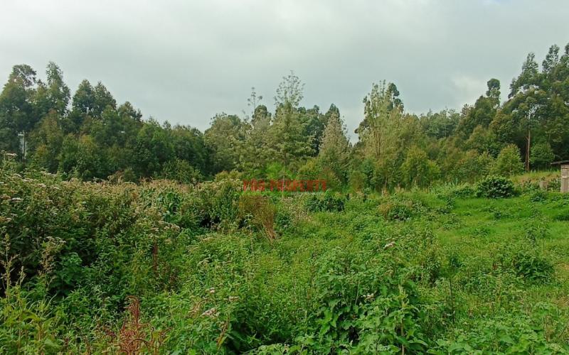 Prime 50 By 100ft Plots For Sale In Ondiri, Kikuyu