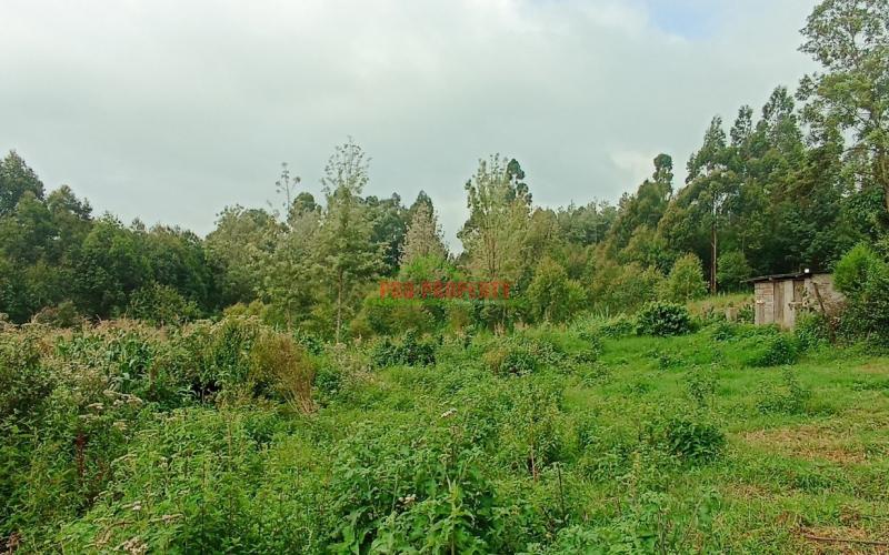 Prime 50 By 100ft Plots For Sale In Ondiri, Kikuyu