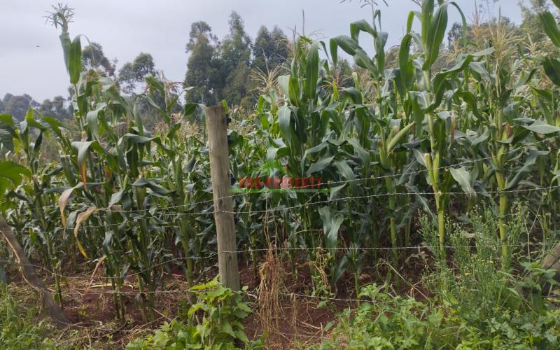 Prime 50 By 100ft Plots For Sale!!! In Kamangu, Kikuyu