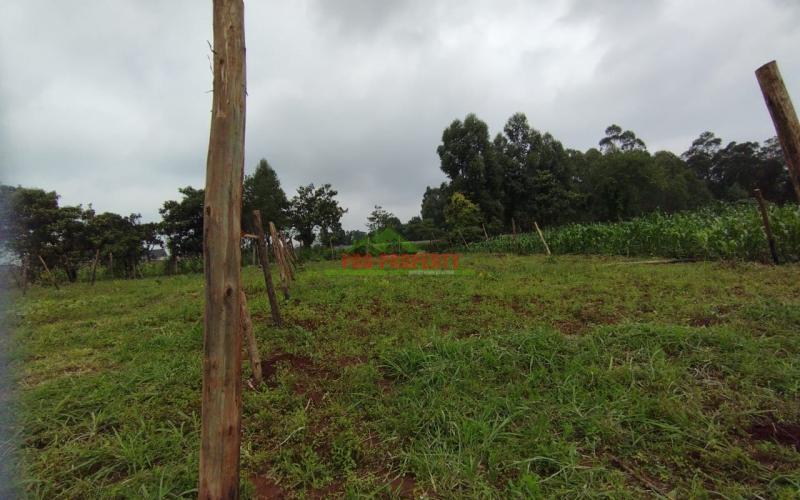 Prime 50*100 Feet Residential Plots For Sale In Kikuyu Town Near Southern Bypass.