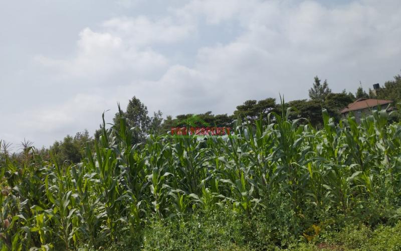 Prime 50*100 Feet Residential Plots For Sale In Kikuyu Town Near Southern Bypass.