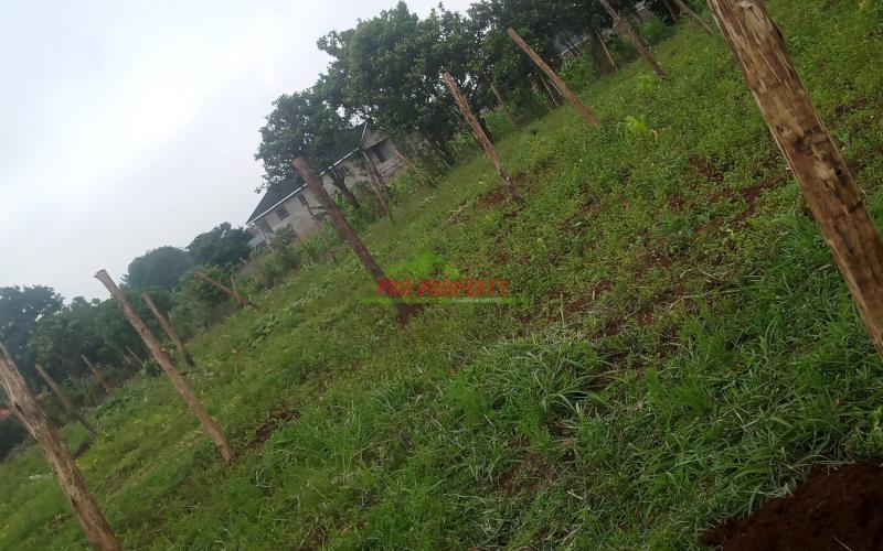 Prime  50 By 100 Plots For Sale In Kikuyu Mai-i -hii
