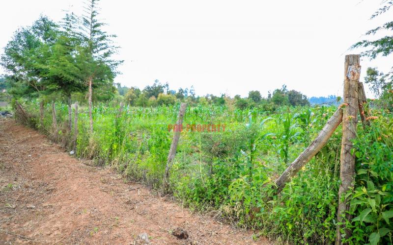 Prime 100 By 100ft  Plot In Kikuyu Kamangu