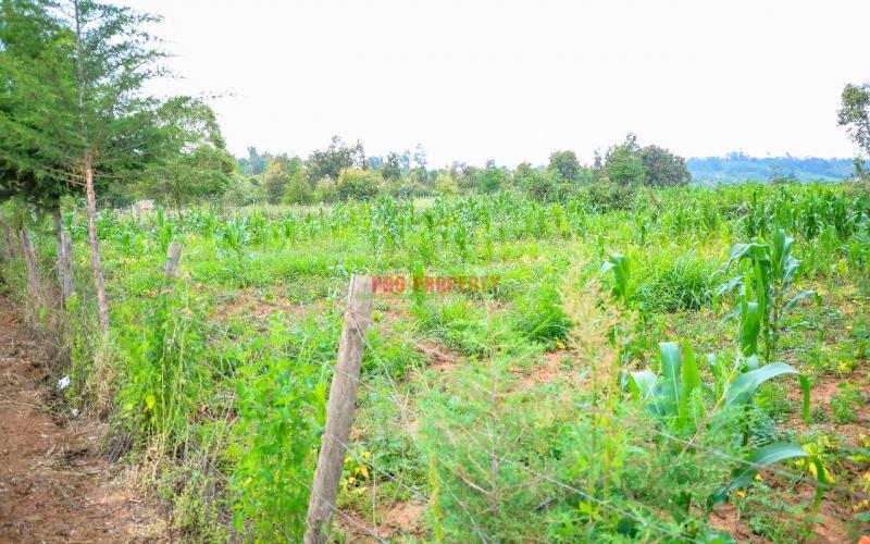 Prime 50 By 100ft Plot In Kikuyu Kamangu