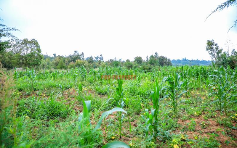 Prime 50 By 100ft Plot In Kikuyu Kamangu