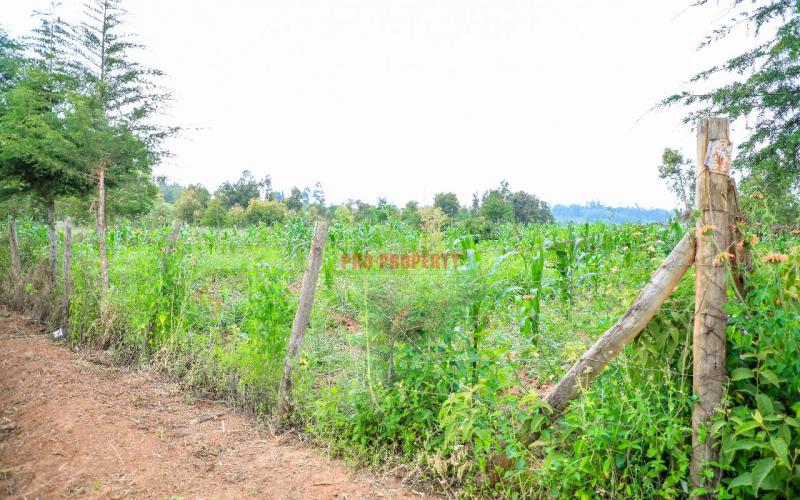 Prime 50 By 100ft Plot In Kikuyu Kamangu
