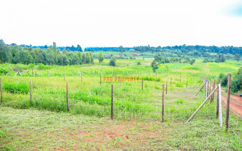 Prime 50 By 100 Plots For Sale In Kikuyu Kamangu Ngamba Area