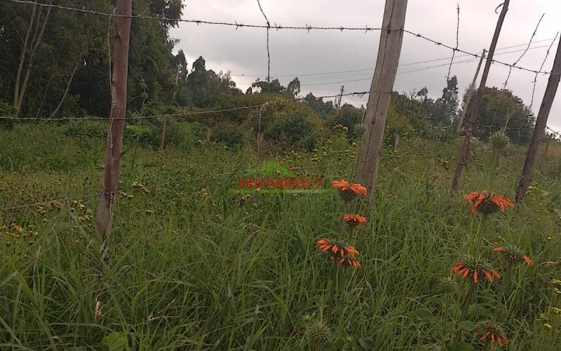 Prime 50 By 100 Residential Plots For Sale In Kikuyu Kamangu.