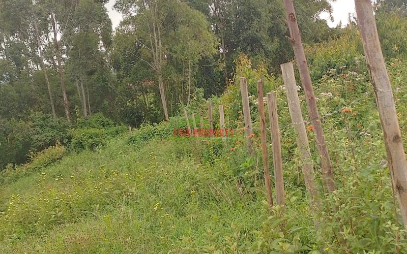 Prime 50 By 100 Residential Plots For Sale In Kikuyu Kamangu.