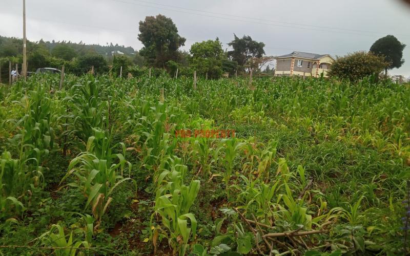 Prime 60 By 100 Residential Plots For Sale In Kikuyu Kamangu.