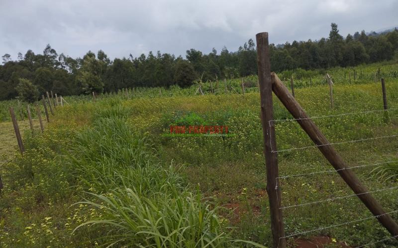 A1 50 By 100ft Plots For Sale In Kamangu,ngamba