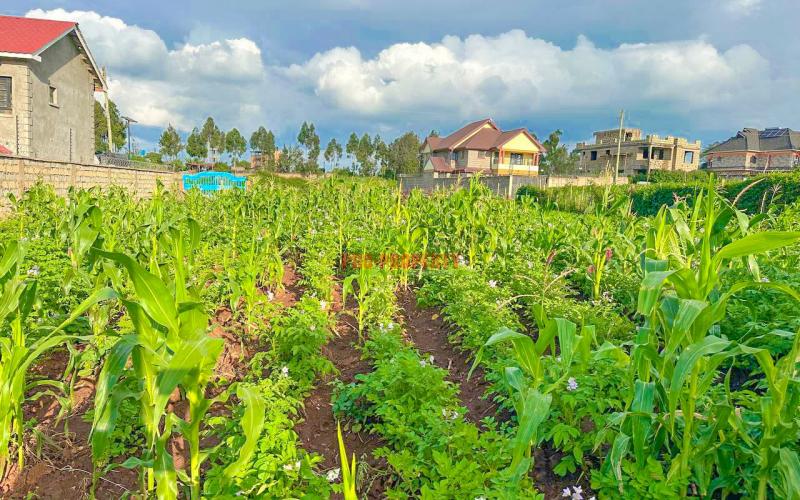 Prime Residential Plot For Sale in Kikuyu, Gikambura.