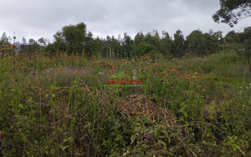 Prime 50 By 100 Ft Residential Plot For Sale In Kikuyu-kamangu
