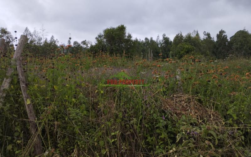 Prime 50 By 100 Ft Residential Plot For Sale In Kikuyu-kamangu