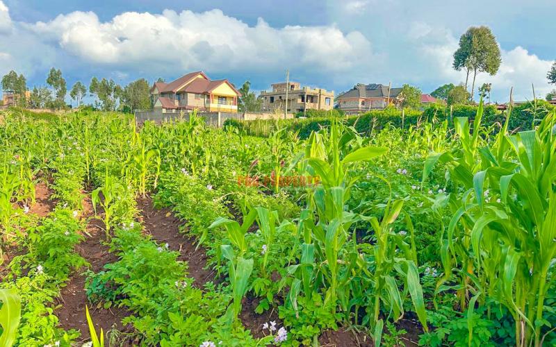 Prime Residential Plot For Sale In Kikuyu, Gikambura.