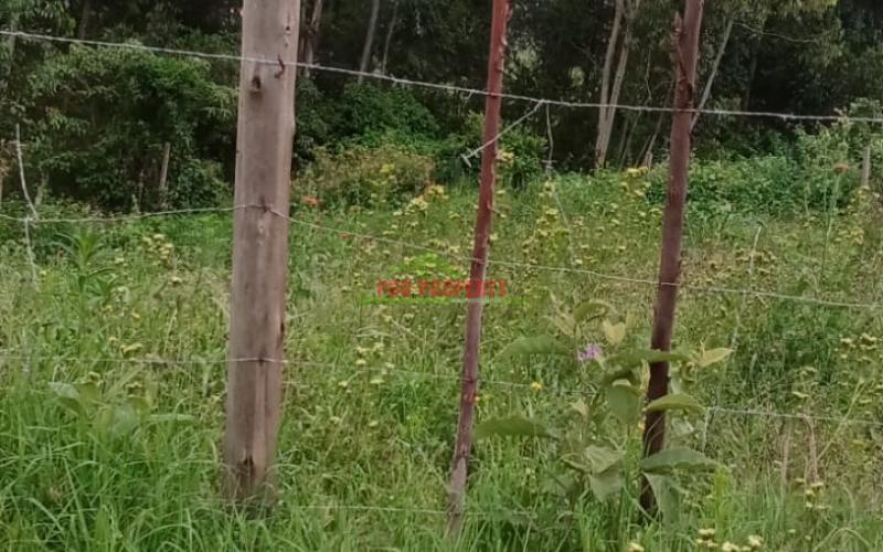 Prime 50*100 Ft Residential Plot For Sale In Kikuyu- Kamangu