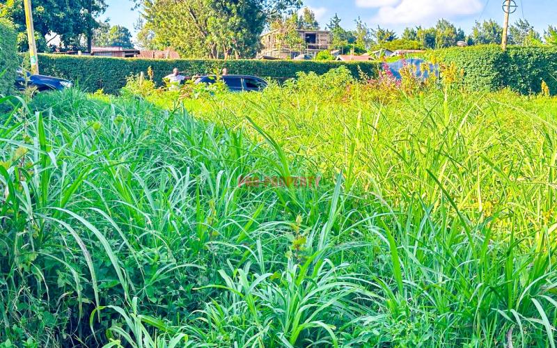 Prime Residential Plot For Sale In Kikuyu, Ondiri