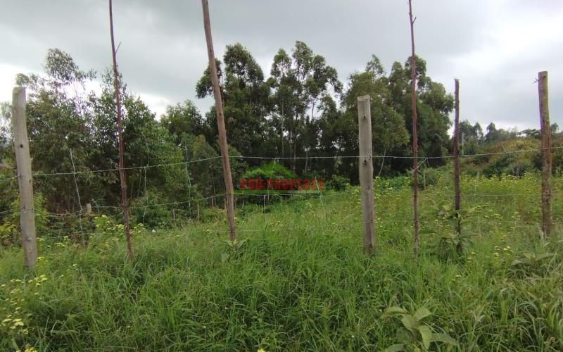 Prime 50*100 Ft Residential Plot For Sale In Kikuyu- Kamangu