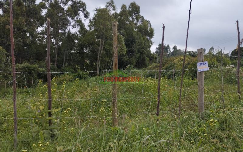 Prime 50*100 Ft Residential Plot For Sale In Kikuyu- Kamangu