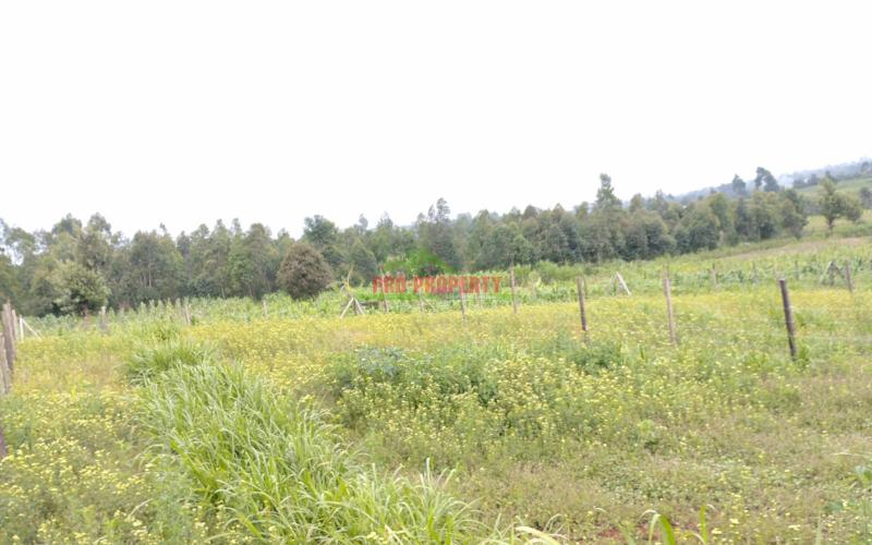 Prime 50 By 100 Ft Residential Plots For Sale In Kikuyu- Kamangu - Ngambaa