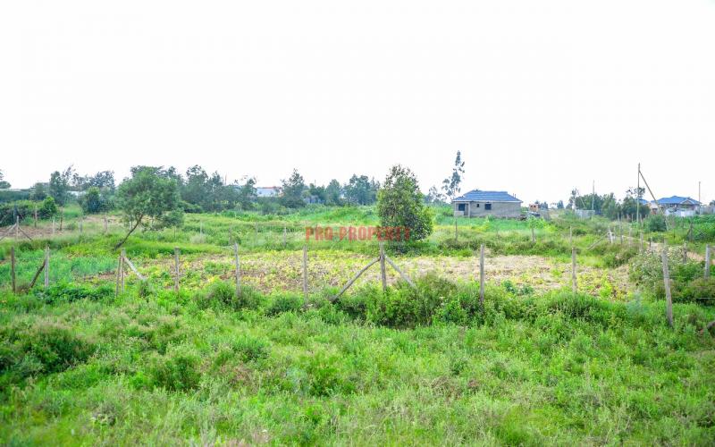 Prime Residential Plot For Sale In Kikuyu, Kamangu.