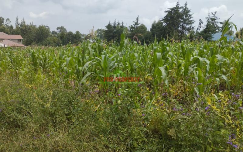 A1 Plots For Sale!!! In Kikuyu Kamangu