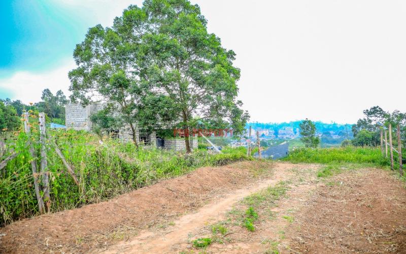 Prime 100*100ft Plot For Sale In Kikuyu, Kamangu