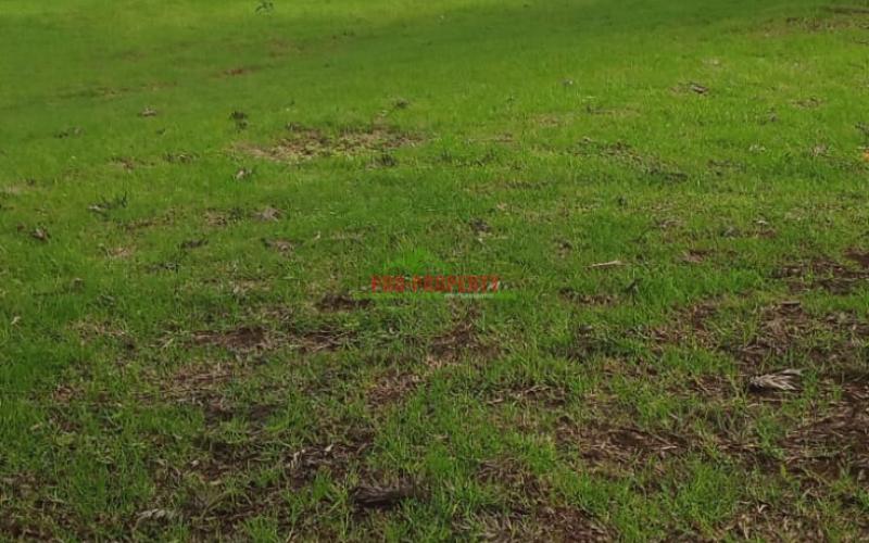 Prime 100 By 100 Residential Plots For Sale In Ngong Tulivu.