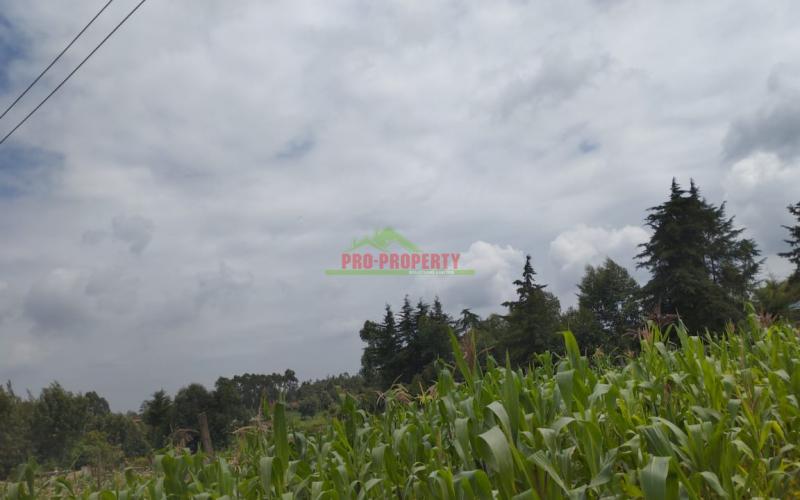 Prime 100 By 100 Residential Plots For Sale In Kikuyu Kamangu.