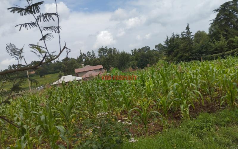 Prime 100 By 100 Residential Plots For Sale In Kikuyu Kamangu.