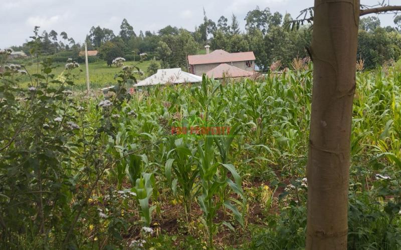 PRIME 100 BY 100 RESIDENTIAL PLOTS FOR SALE IN KIKUYU KAMANGU.