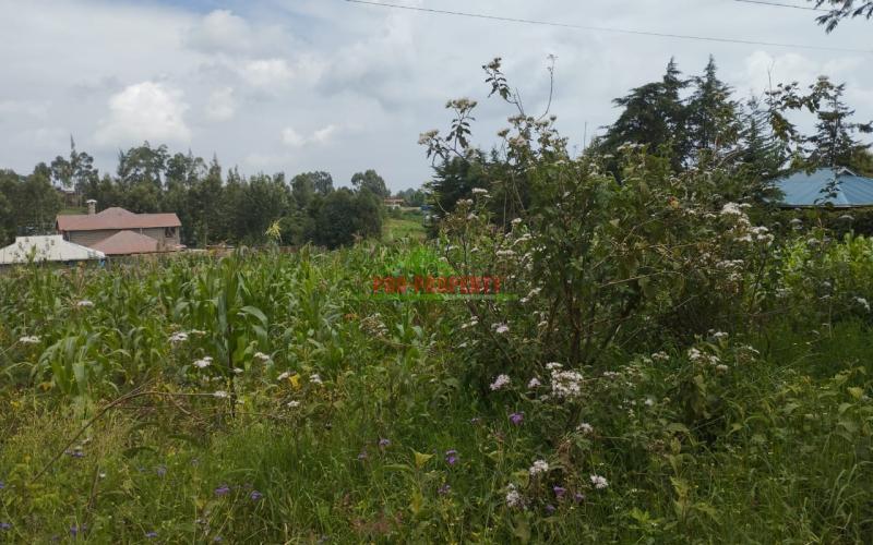 Prime 100*100 Ft Residential Plot For Sale In Kikuyu-kamangu