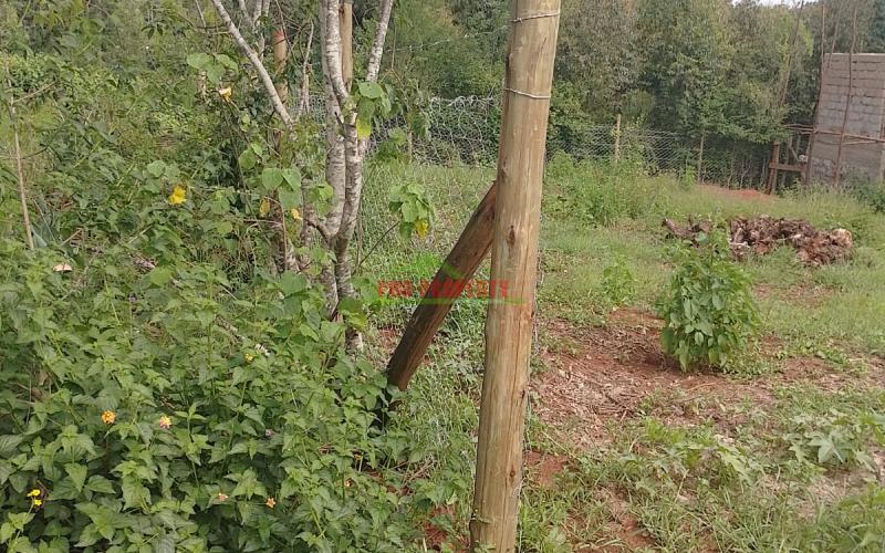 Prime 50 By 100ft Plots For Sale In Migumo-ini, Kikuyu