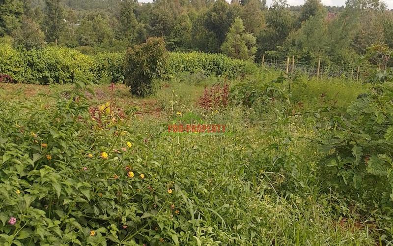 Prime 50 By 100ft Plots For Sale In Migumo-ini, Kikuyu