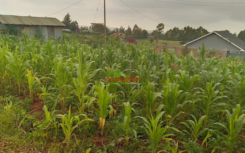 Prime 50 By 100 Residential Plots For Sale In Kikuyu Kamangu.