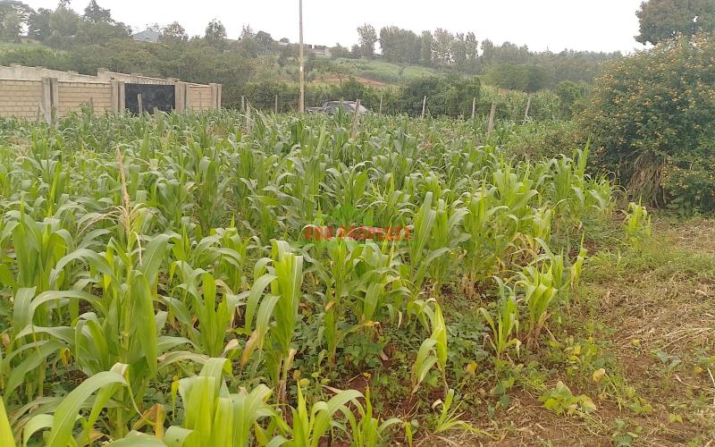 Prime 50 By 100 Residential Plots For Sale In Kikuyu Kamangu.