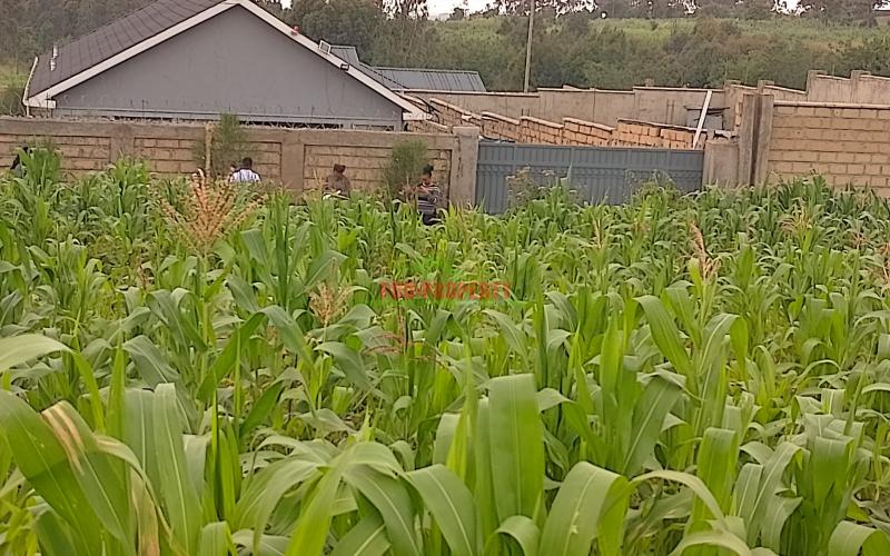 PRIME 50 BY 100 RESIDENTIAL PLOTS FOR SALE IN KIKUYU KAMANGU.