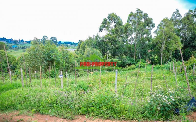 Prime   50 By 100ft  Residential Plot In Kamangu ,kikuyu