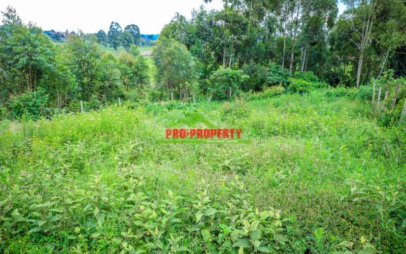 Prime   50 By 100ft  Residential Plot In Kamangu ,kikuyu