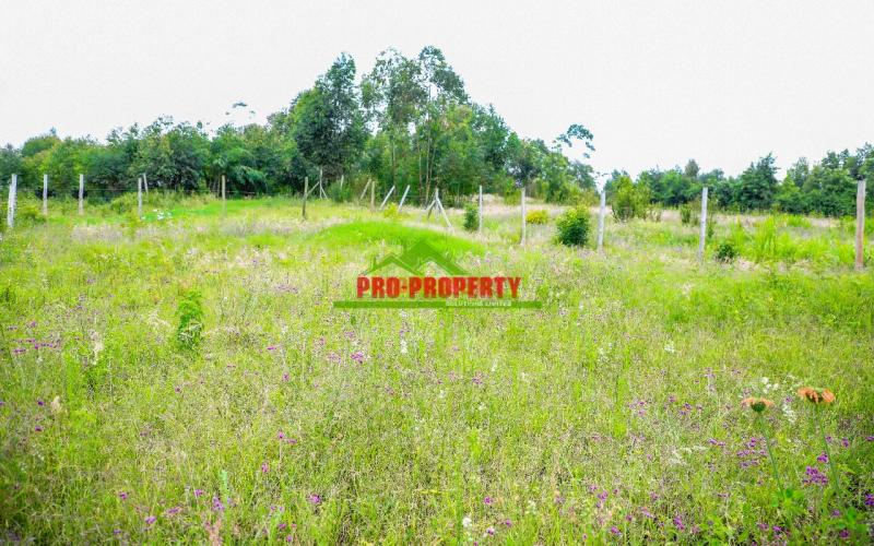 Prime 50*100ft Residential Plot For Sale In Kikuyu, Lusingetti
