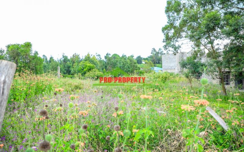 Prime 50 By 100 Residential Plots For Sale In Kikuyu Kamangu.