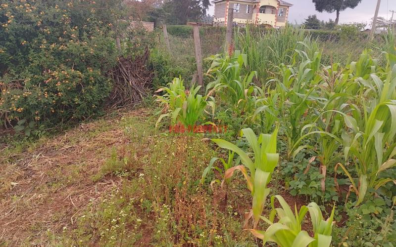 Prime 50  By 100 Plot Or Sale In Kamangu