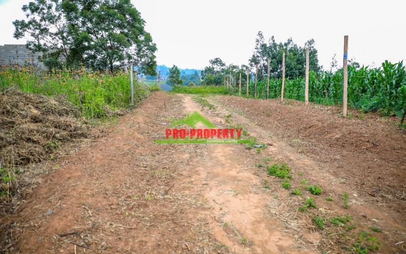 Prime 50 By 100 Residential Plots For Sale In Kikuyu Kamangu.